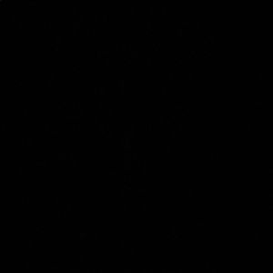 Meet your Posher, Hailie